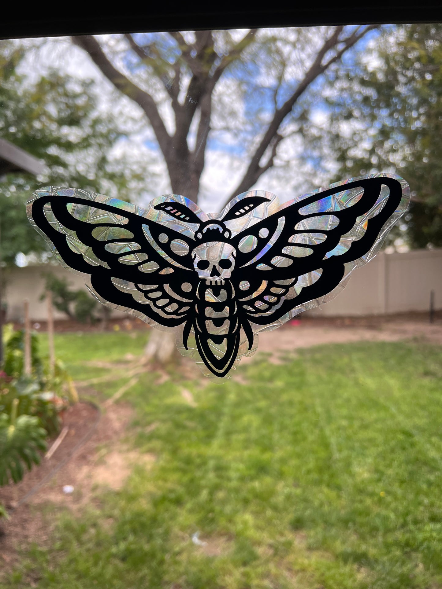 Moth window cling