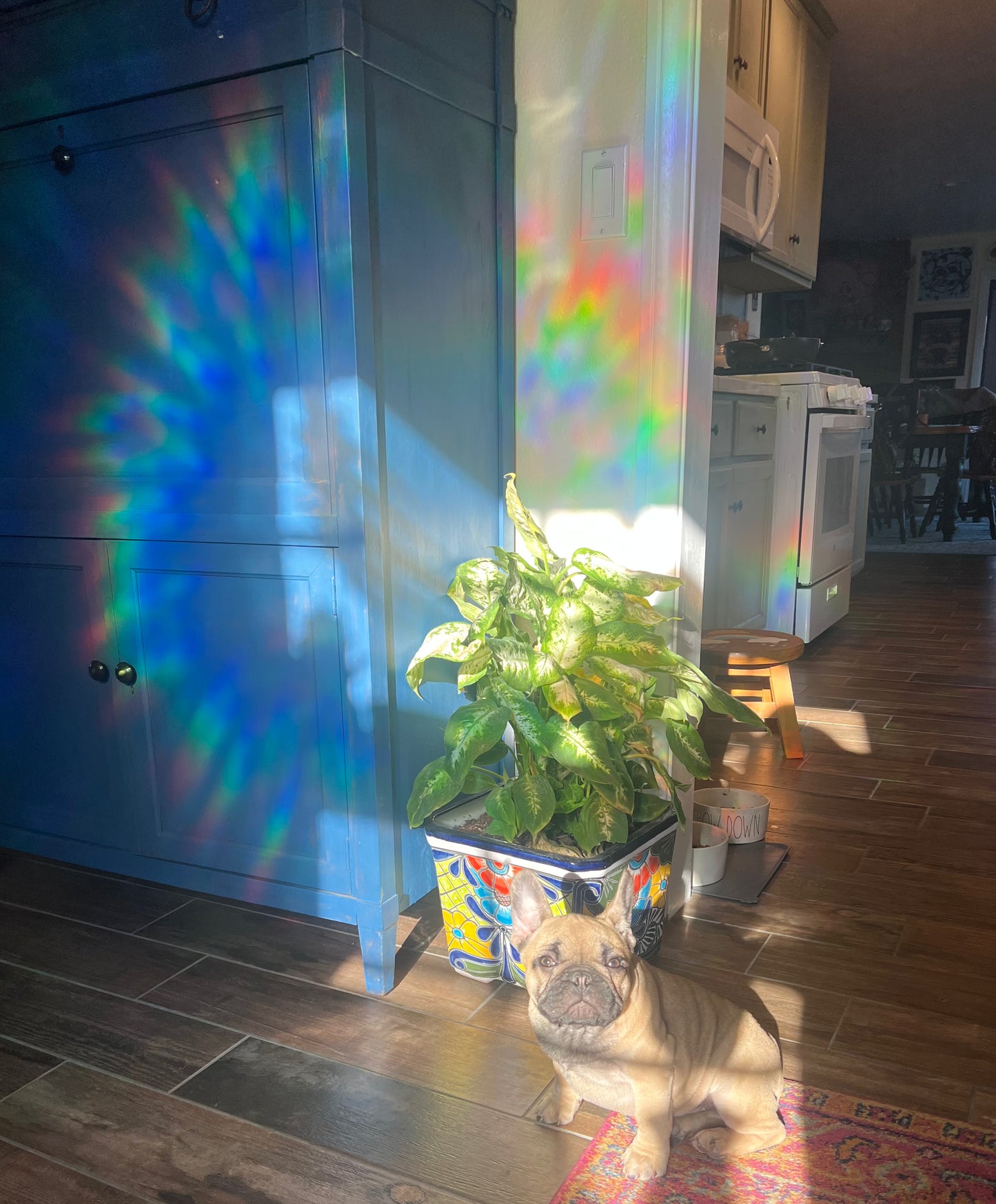 Mandala corner window cling pattern 2