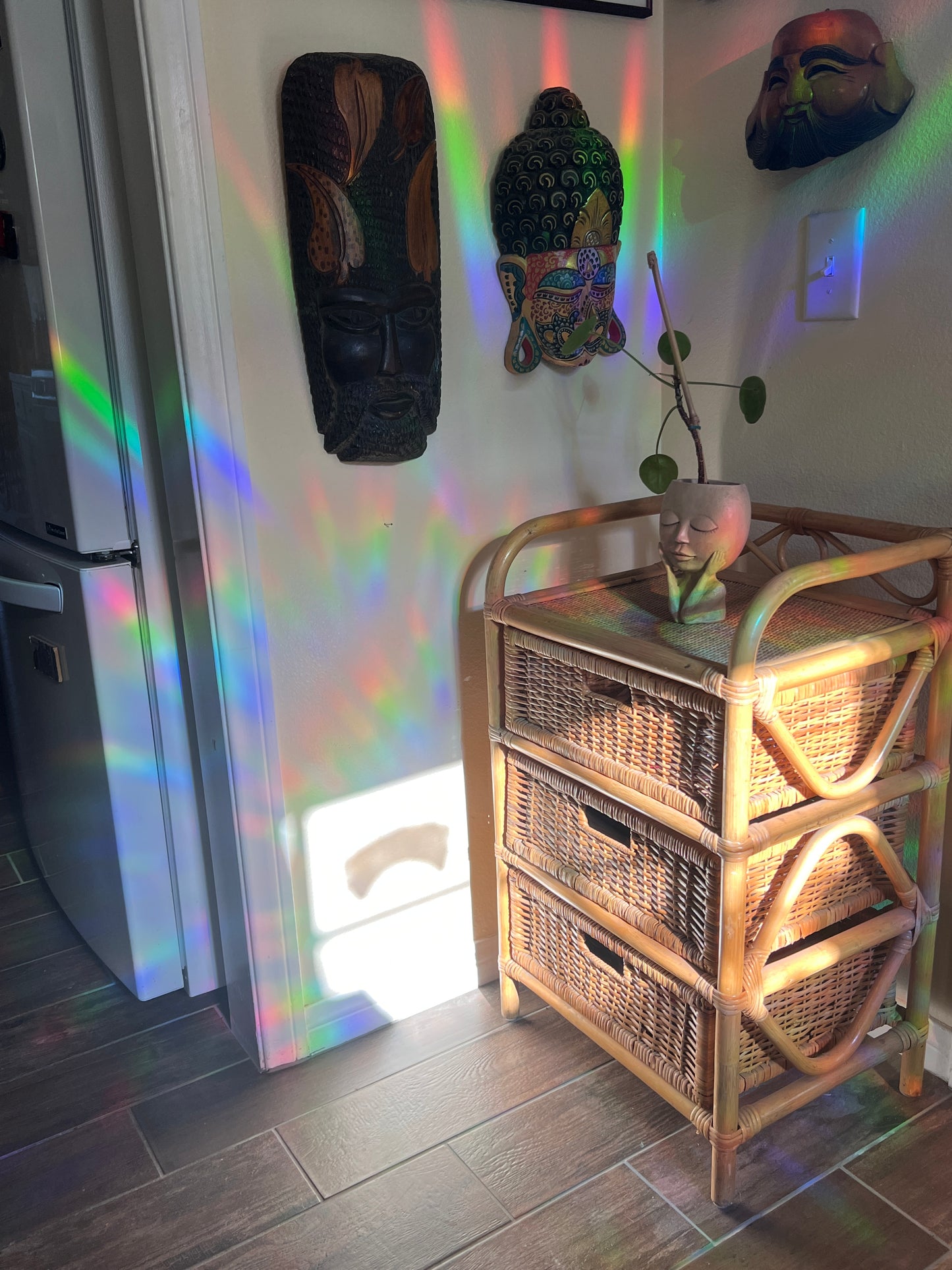 Fuzzy Rainbows window cling