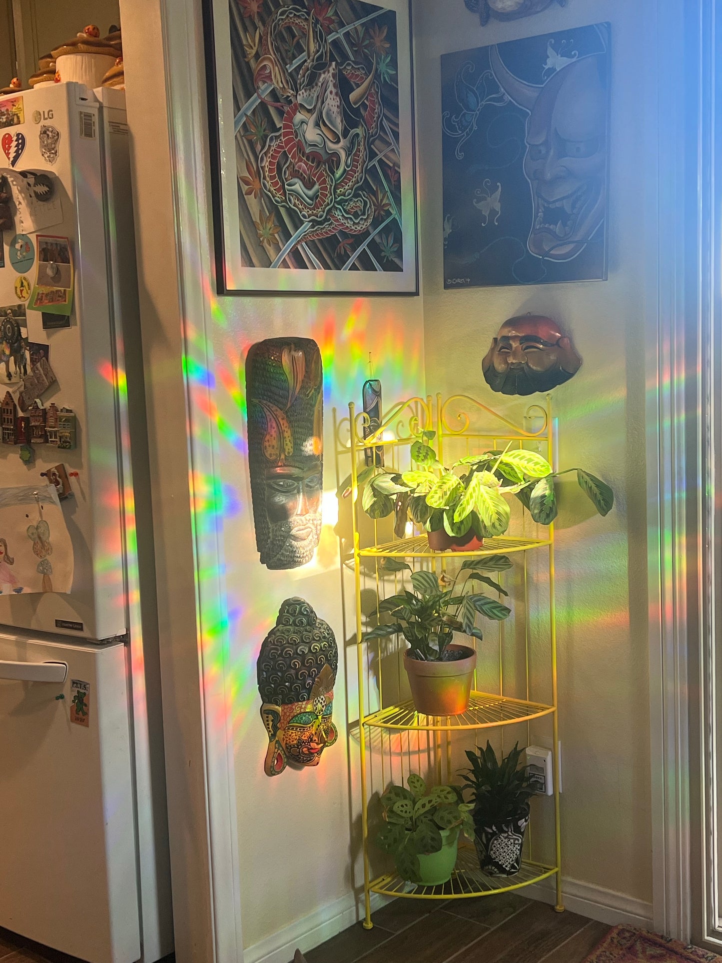 Stealie window cling