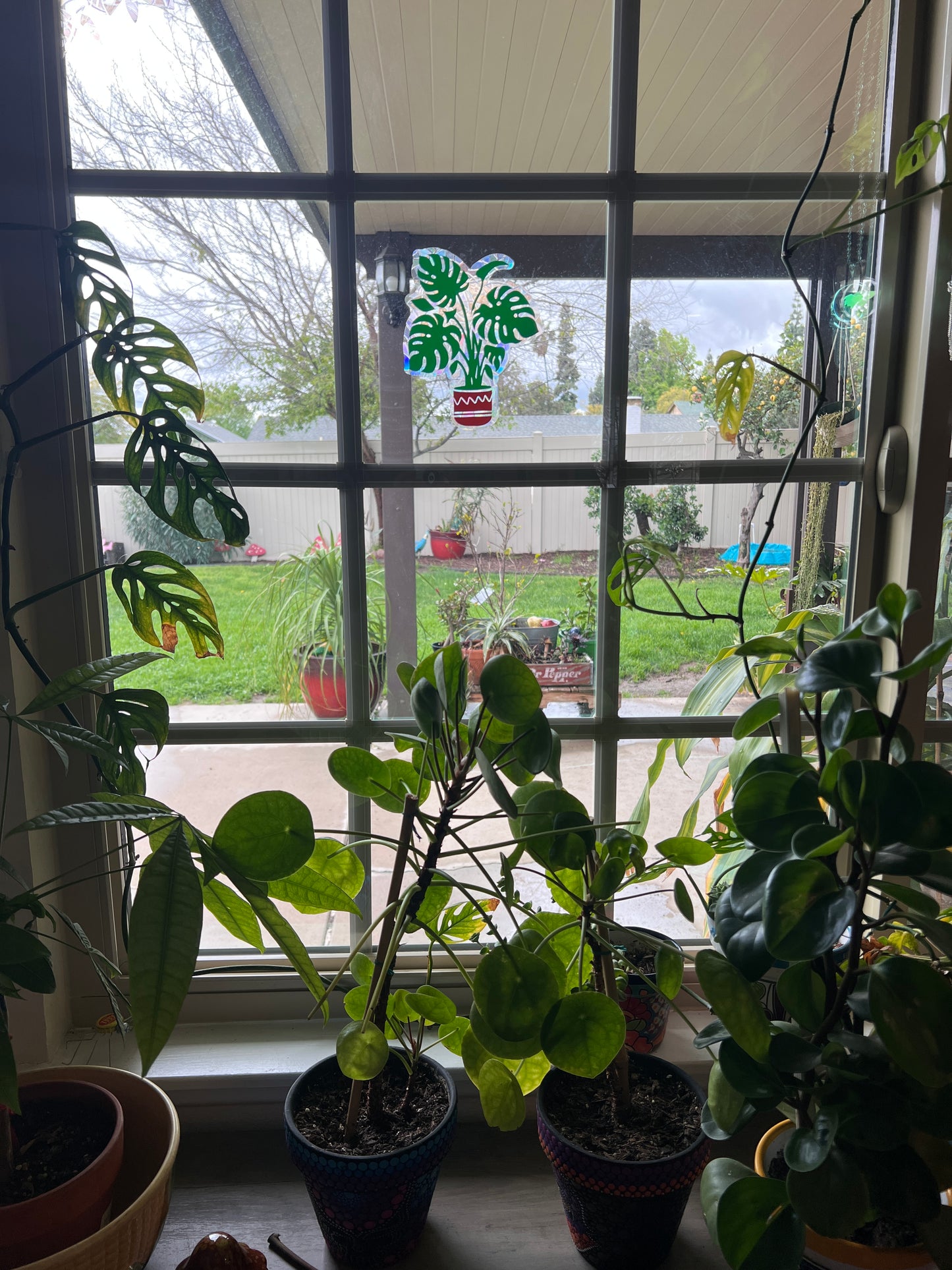 Monstera window cling