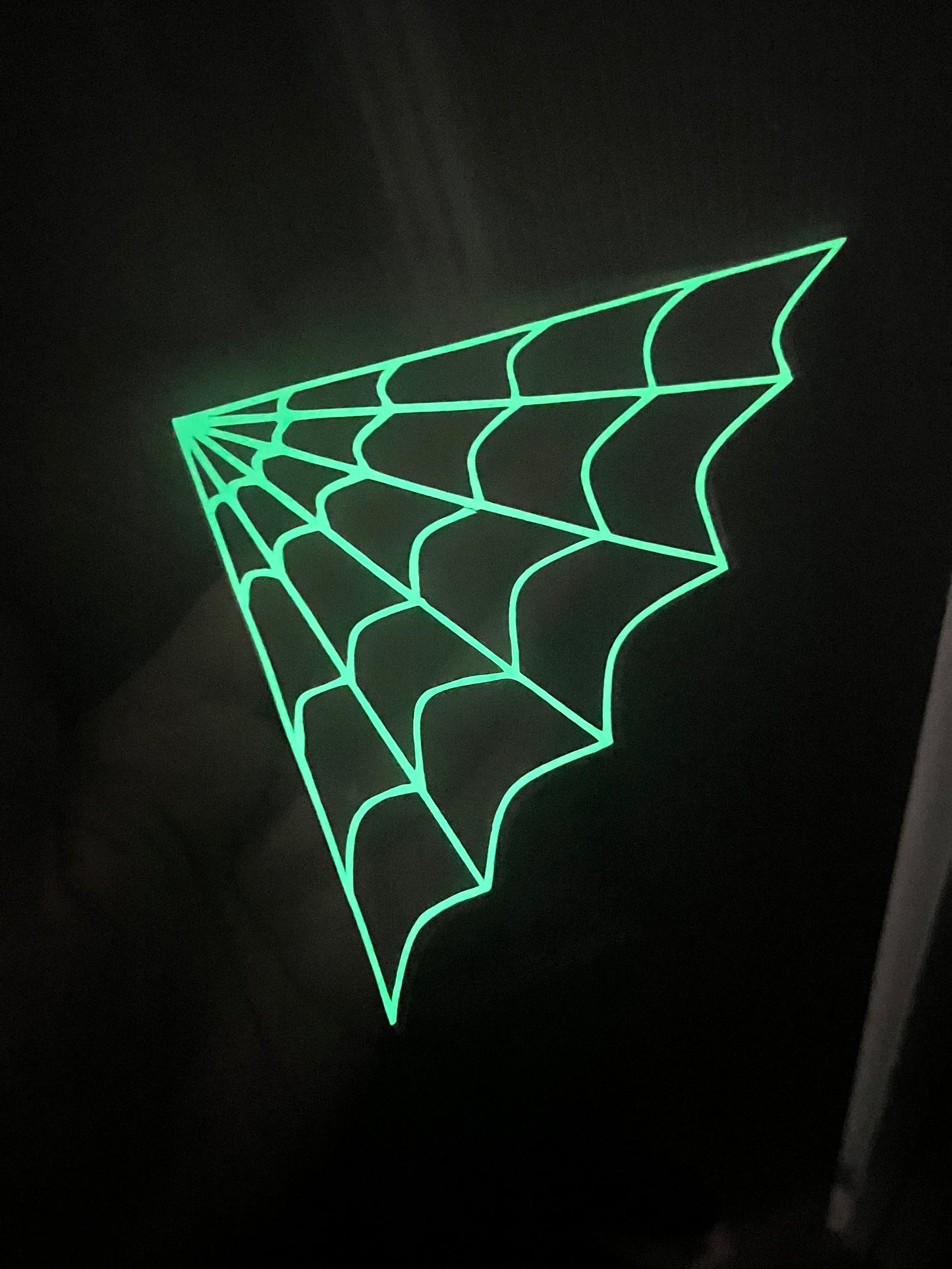 Glow in the dark- Web window cling