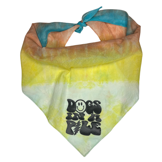 Large- pet bandana