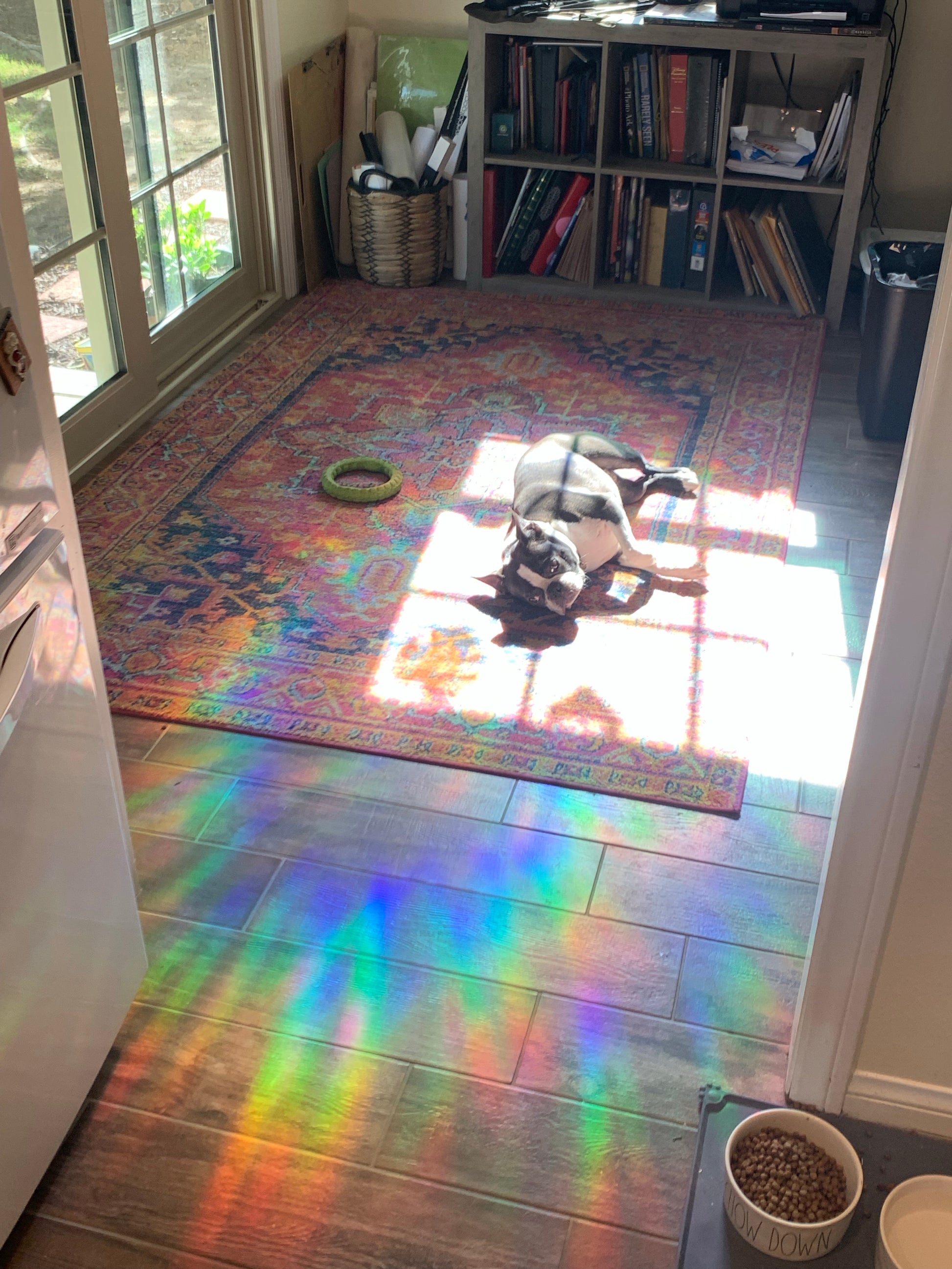 I encourage anyone to join me in the holographic rainbow window cling club  🌈 it livens up every room✨️ : r/maximalism
