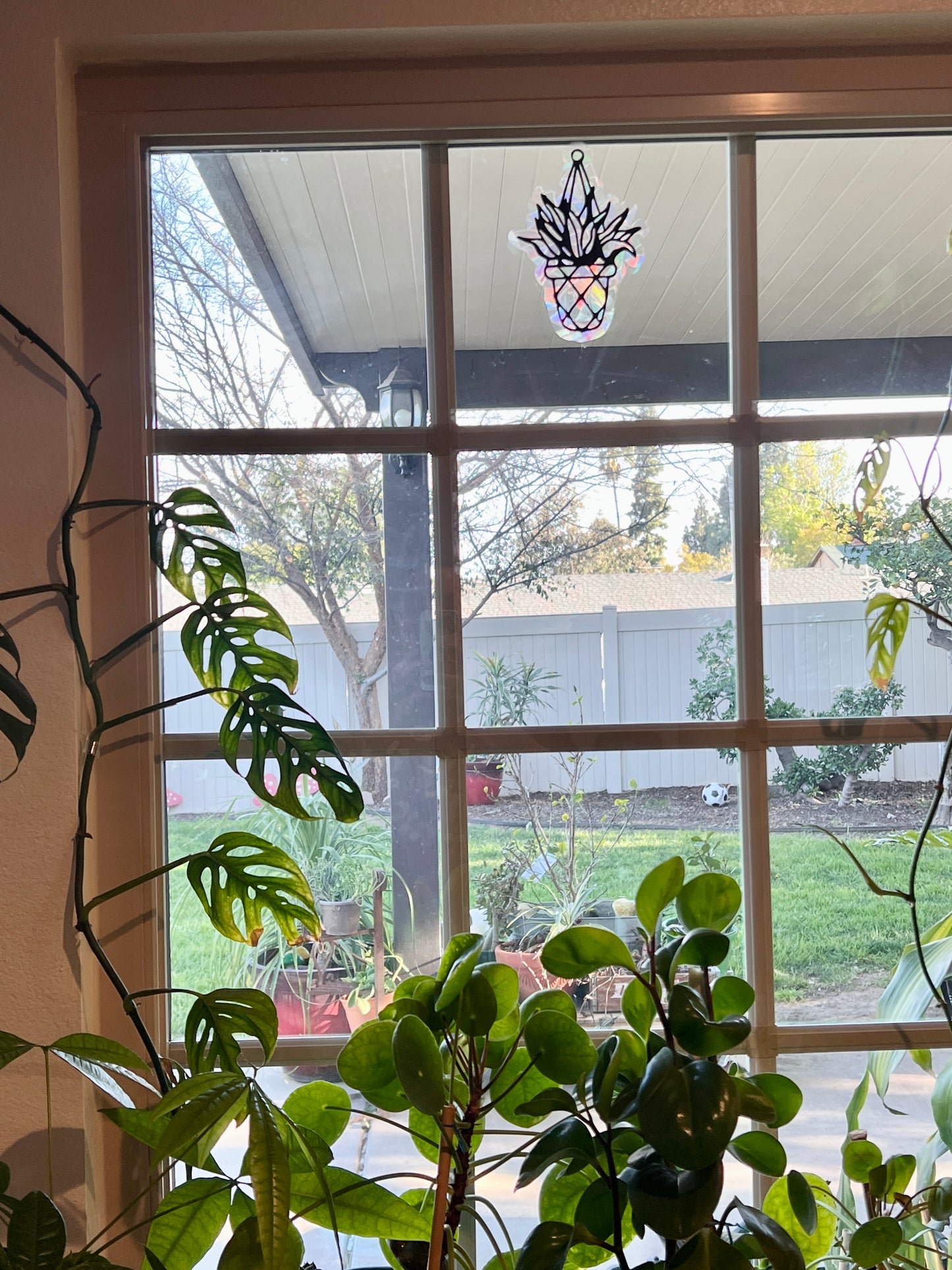 Hanging plant window cling
