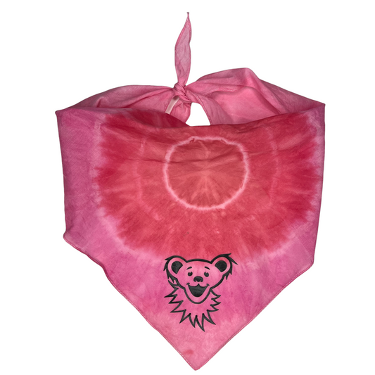 Large - pet bandana